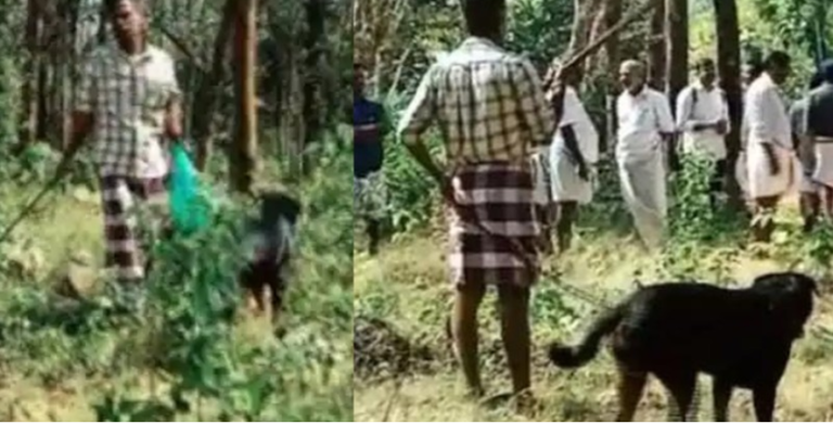 വടിവാളും നായയുമായി അക്രമം; പ്രതിയുടെ വീട്ടിൽ കടന്ന് പൊലീസ്