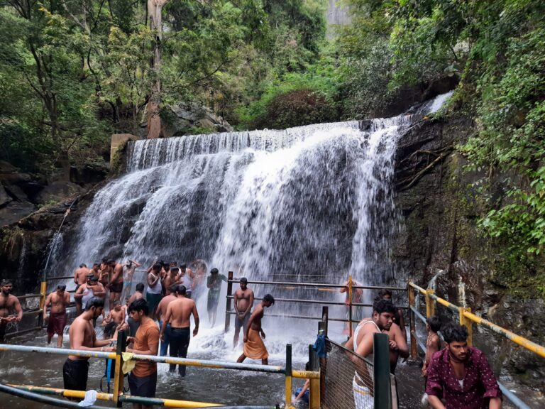 അരിക്കൊമ്പന്റെ ഭീതിയൊഴിഞ്ഞു , സുരുളി വെള്ളച്ചാട്ടം സഞ്ചാരികൾക്കായി തുറന്നു