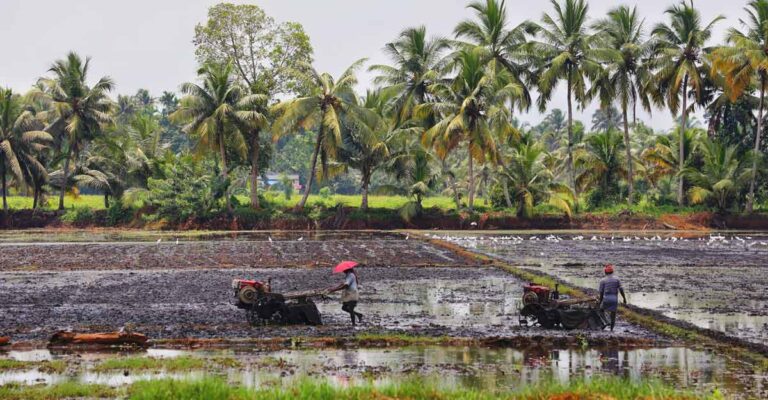 മാതൃക സിയാല്‍, ലക്ഷ്യം കാർഷിക വിപണനം; കർഷകർക്ക് പങ്കാളിത്തമുള്ള കാബ്‌കോ ബിസിനസ് കമ്പനിയുമായി കൃഷിവകുപ്പ്