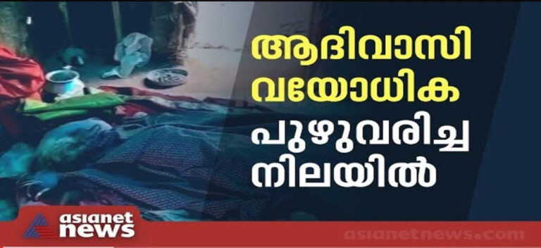 ആദിവാസിയായ വയോധിക പുഴുവരിച്ച സംഭവം, ഇടപെട്ട് കളക്ടർ; ഏഷ്യാനെറ്റ് ന്യൂസ് ഇംപാക്ട്
