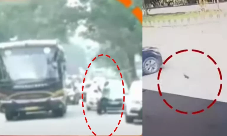 നവകേരള ബസിന് നേരെ ഷൂ എറിഞ്ഞ പ്രതികള്‍ക്ക് ജാമ്യം