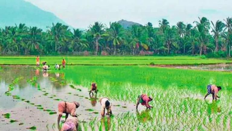 ര​ണ്ടു​വ​ര്‍​ഷ​ത്തി​നുള്ളിൽ ഒ​രു​കോ​ടി ക​ര്‍​ഷ​ക​രെ ജൈ​വ​കൃ​ഷി​യി​ലേ​ക്ക്കൊണ്ടുവരും, കാ​ര്‍​ഷി​ക മേ​ഖ​ല​യ്ക്ക് 1.52 ല​ക്ഷം കോ​ടി