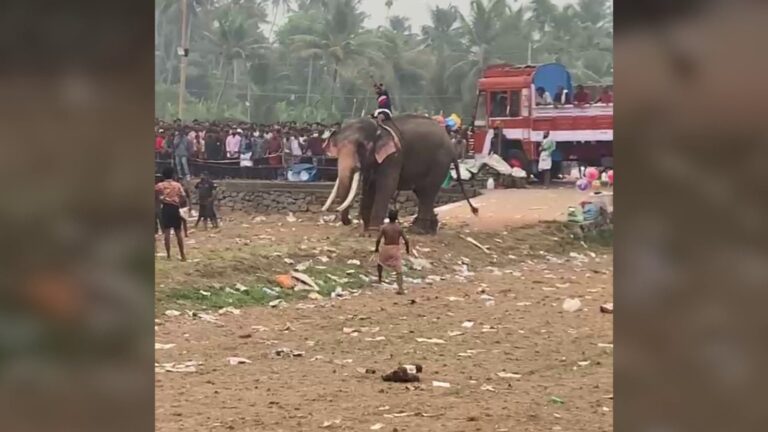 ആറാട്ടുപുഴ ക്ഷേത്രത്തിൽ വീണ്ടും ആന ഇടഞ്ഞു