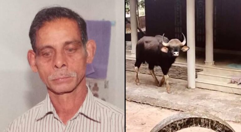കാട്ടുപോത്ത് ആക്രമണം: എബ്രഹാമിന്റെ പോസ്റ്റ്‌മോര്‍ട്ടം ഇന്ന്