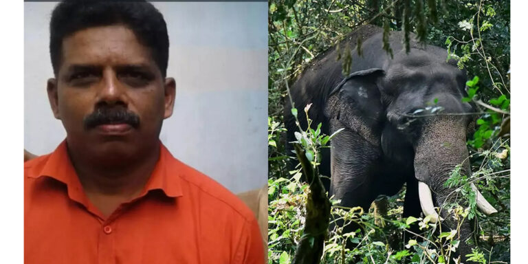പത്തനംതിട്ടയിൽ കാട്ടാന ആക്രമണം : ഒരാൾ കൊല്ലപ്പെട്ടു 