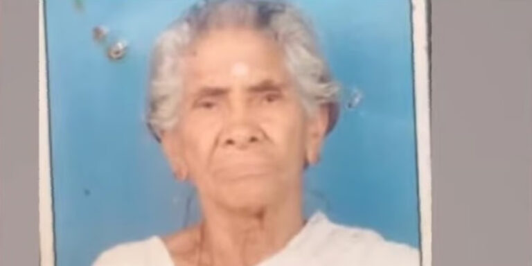 പാലക്കാട് സൂര്യാഘാതമേറ്റ് വയോധിക മരിച്ചു
