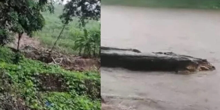 കോട്ടയം ജില്ലയിലെ വിനോദ സഞ്ചാര കേന്ദ്രങ്ങൾ അടച്ചു,  ഈരാറ്റുപേട്ട – വാഗമൺ റോഡിൽ രാത്രികാല യാത്രാനിരോധനം