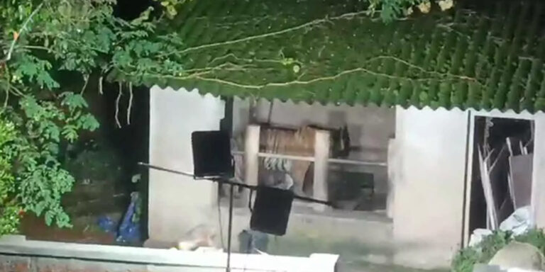വയനാട് കേണിച്ചിറയിലിറങ്ങിയ കടുവ വനംവകുപ്പിന്റെ കൂട്ടിൽ കുടുങ്ങി