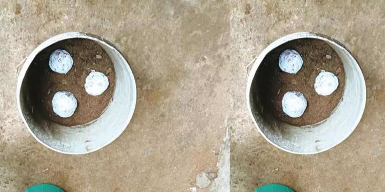 തിരുവനന്തപുരം കുളത്തൂർ മാർക്കറ്റിൽ നാടൻ ബോംബുകൾ കണ്ടെത്തി