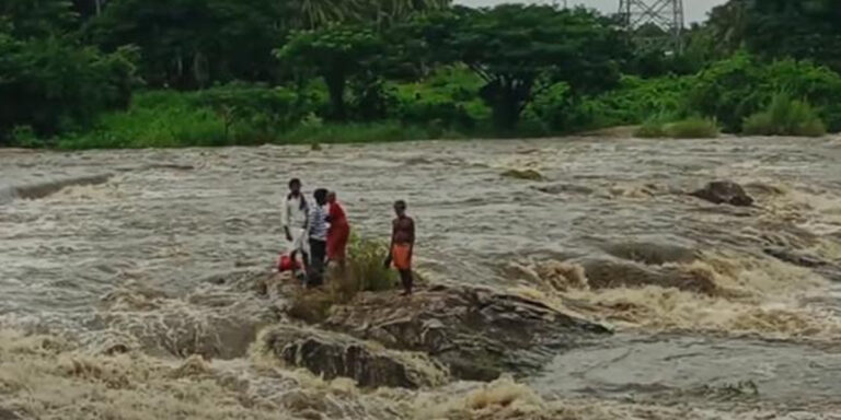 ചി​റ്റൂ​ര്‍ പു​ഴ​യു​ടെ ന​ടു​വി​ല്‍ കു​ടു​ങ്ങി​യ നാ​ലു​പേ​രേ​യും ര​ക്ഷ​പ്പെ​ടു​ത്തി