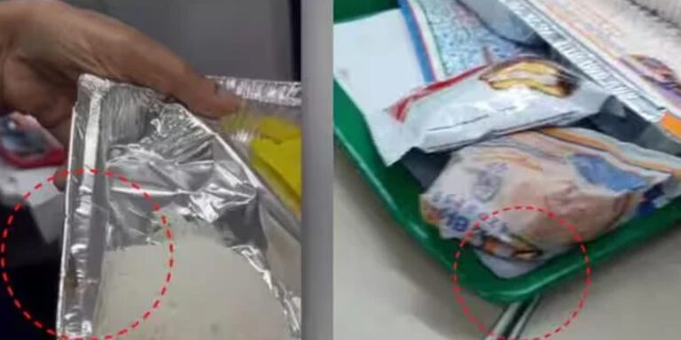 വ​ന്ദേ​ഭാ​ര​ത് എ​ക്സ്പ്ര​സി​ലെ ഭ​ക്ഷ​ണപ്പൊ​​തി​യി​ൽ പാ​റ്റ​ക​ള്‍; പ​രാ​തി​യു​മാ​യി യാ​ത്ര​ക്കാ​ർ