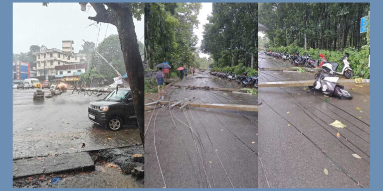 മഴയ്ക്കൊപ്പം കനത്ത കാറ്റ്; കോട്ടയത്ത് വ്യാപക നാശം
