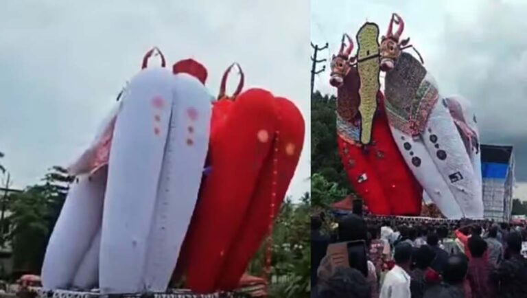 ഓച്ചിറ ക്ഷേത്രത്തിലെ കാളകെട്ട് ഉത്സവത്തിനായി തയാറാക്കിയ കെട്ടുകാള നിലംപതിച്ചു; ആര്‍ക്കും പരിക്കുകളില്ല