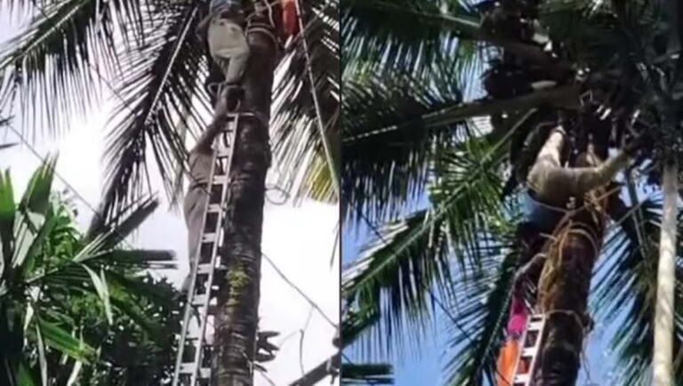 തെങ്ങ് കയറുന്നതിനിടെ യന്ത്രത്തില്‍ കുടുങ്ങിയ ആളെ അതിസാഹസികമായി രക്ഷപ്പെടുത്തി