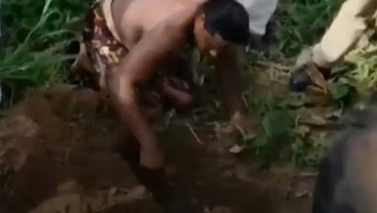 തിരുവനന്തപുരത്ത് നവജാത ശിശുവിന്റെ മൃതദേഹം പുരയിടത്തിൽ കുഴിച്ചിട്ട നിലയിൽ