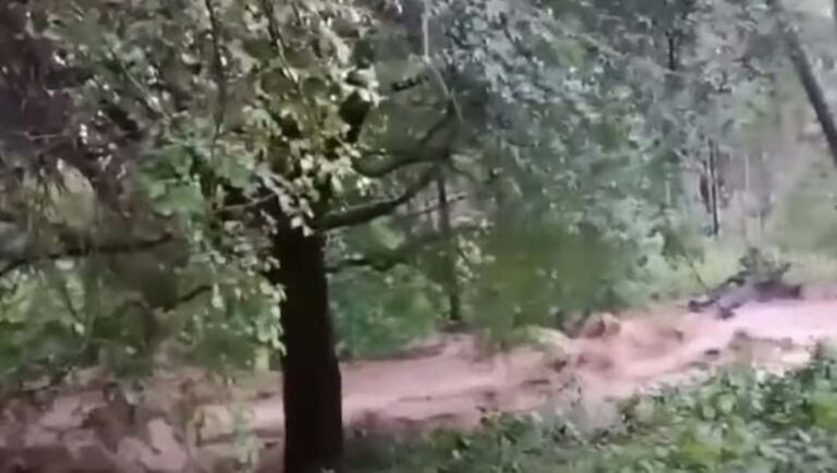 മലമ്പുഴയില്‍ ഉരുൾപൊട്ടി? കല്ലമ്പുഴയിൽ ജല നിരപ്പുയരുന്നു