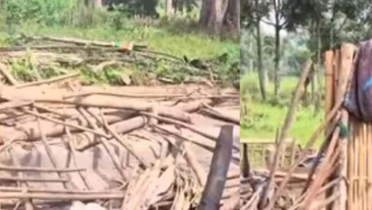 വയനാട് ആദിവാസികളുടെ കുടിലുകൾ പൊളിച്ച സംഭവം; സെക്ഷൻ ഫോറസ്റ്റ് ഓഫീസർക്ക് സസ്​പെൻഷൻ