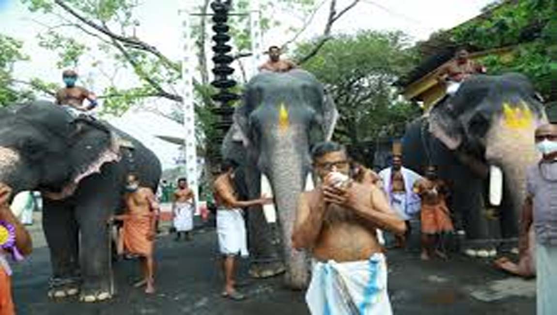 ആനകൾക്ക് ഇനി കുറി വേണ്ട, ലംഘിച്ചാൽ പാപ്പാൻമാർക്ക് പിഴ : ​ഗുരുവായൂർ ക്ഷേത്രം