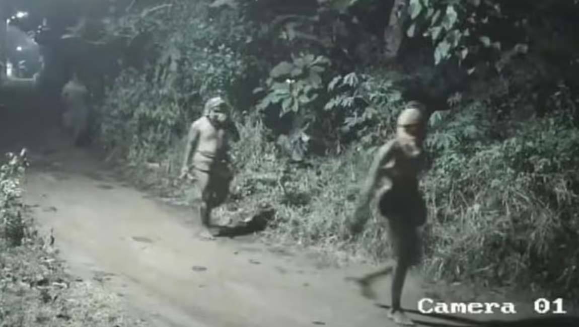 ആലപ്പുഴയിലും പരിസര പ്രദേശങ്ങളിലും ഭീതി പരത്തി വീണ്ടും കുറുവാ സംഘം