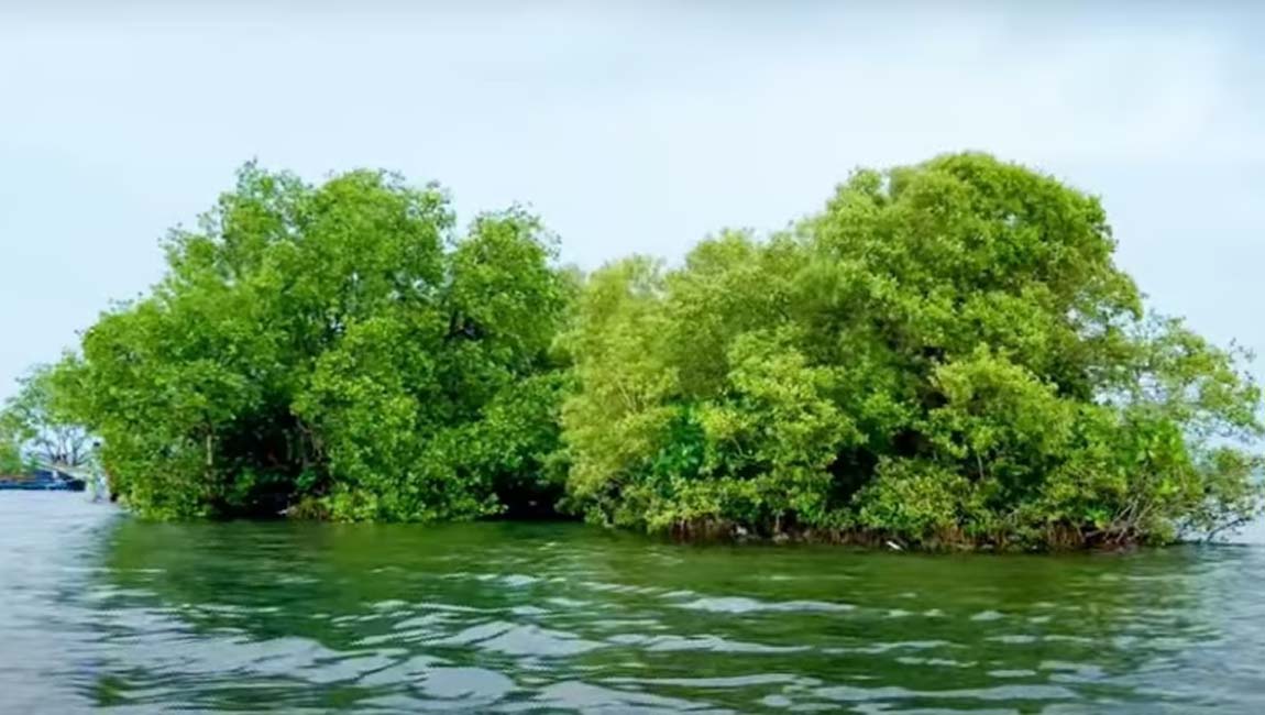 കായല്‍ നടുവില്‍ ടൂറിസം കേന്ദ്രം സാമ്പ്രാണിക്കോടി ഇന്ന് വീണ്ടും തുറക്കും
