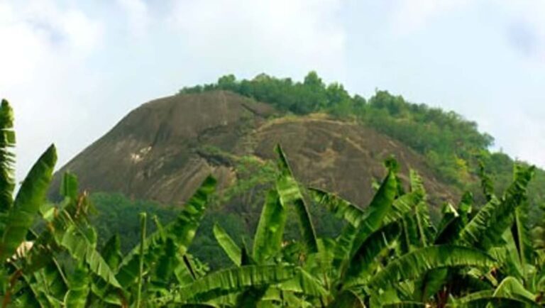 തിരിച്ചിട്ടപ്പാറയിൽ യുവാവ് ഇടിമിന്നലേറ്റ് മരിച്ചു