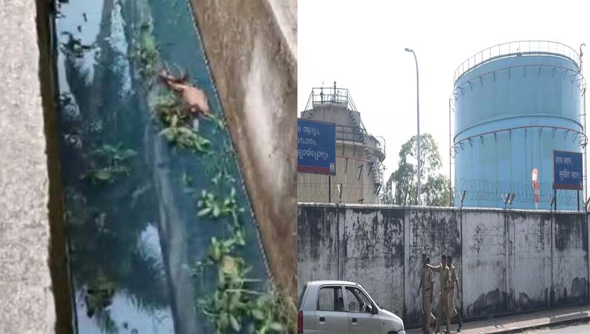ഇന്ധന ചോർച്ച : എലത്തൂർ എച്ച്പിസിഎൽ പ്ലാന്റിന്റെ പ്രവർത്തനം നിർത്തിവെച്ചു