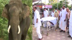 ഇടുക്കിയിൽ വീണ്ടും കാട്ടാന ആക്രമണം; ഒരാൾ മരിച്ചു
