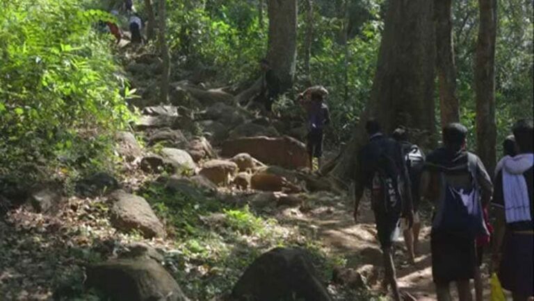 കനത്ത മഴ : കാനന പാതകളിലൂടെയുള്ള ശബരിമല യാത്രയ്ക്ക് നിരോധനം