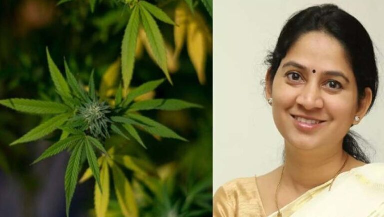യു.​പ്ര​തി​ഭ എം​എ​ൽ​എ​യു​ടെ മ​ക​ൻ ക​ഞ്ചാ​വു​മാ​യി പി​ടി​യി​ൽ