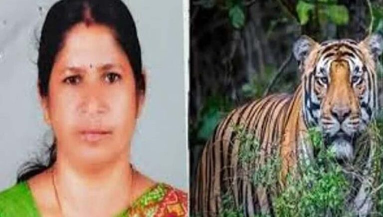 ക​ടു​വ​യു​ടെ ആ​ക്ര​മ​ണം : മാ​ന​ന്ത​വാ​ടി​യി​ൽ ഇന്ന് യുഡിഎഫ് ഹര്‍ത്താല്‍