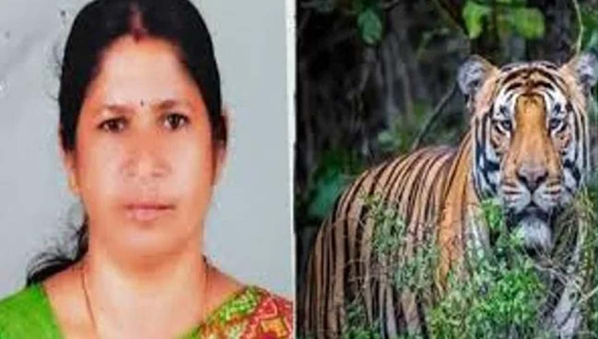 ക​ടു​വ​യു​ടെ ആ​ക്ര​മ​ണം : മാ​ന​ന്ത​വാ​ടി​യി​ൽ ഇന്ന് യുഡിഎഫ് ഹര്‍ത്താല്‍