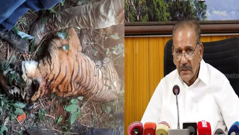 ഓപ്പറേഷൻ വയനാട് ദൗത്യം തുടരും; ജനങ്ങൾക്ക് ഇനി സമാധാനമായി ഉറങ്ങാം : എ.കെ ശശീന്ദ്രൻ