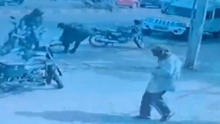 കര്‍ണാടകയില്‍ എടിഎമ്മില്‍ നിറയ്ക്കാന്‍ കൊണ്ട് പോയ 93 ലക്ഷം രൂപ കവര്‍ന്നു; രണ്ടു സെക്യൂരിറ്റി ജീവനക്കാരെ വെടിവെച്ചു കൊന്നു