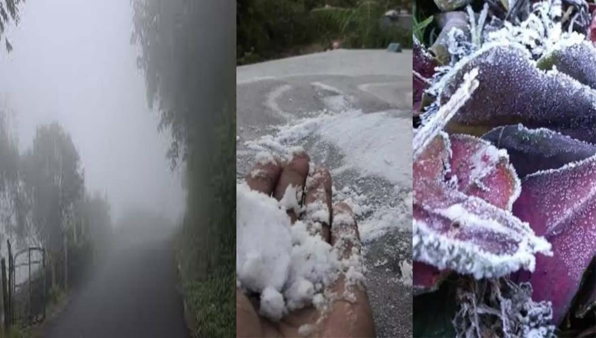 തണുത്തു വിറച്ച് വീണ്ടും മൂന്നാർ; താപനില പൂജ്യം ഡി​ഗ്രി