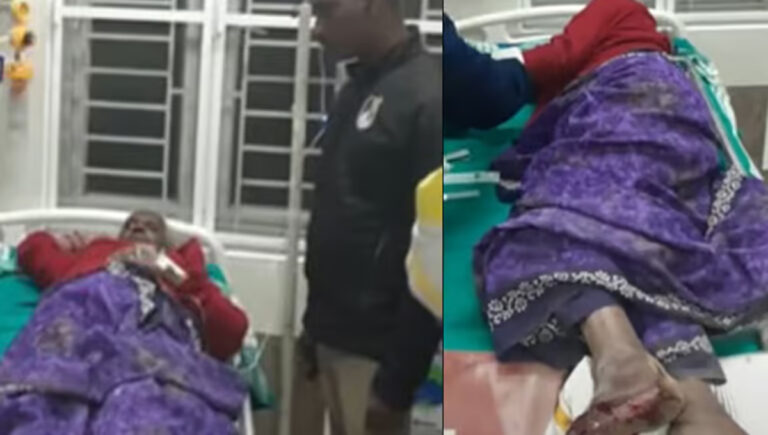 വാല്‍പ്പാറയില്‍ കാട്ടാനയുടെ ആക്രമണത്തില്‍ വയോധികയ്ക്ക് പരുക്ക്