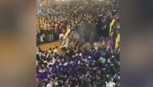 തി​രൂ​ർ പുതിയങ്ങാടി നേ​ർ​ച്ച​യ്ക്കി​ടെ ആ​ന ഇ​ട​ഞ്ഞു; നി​ര​വ​ധി പേ​ർ​ക്ക് പ​രി​ക്ക്