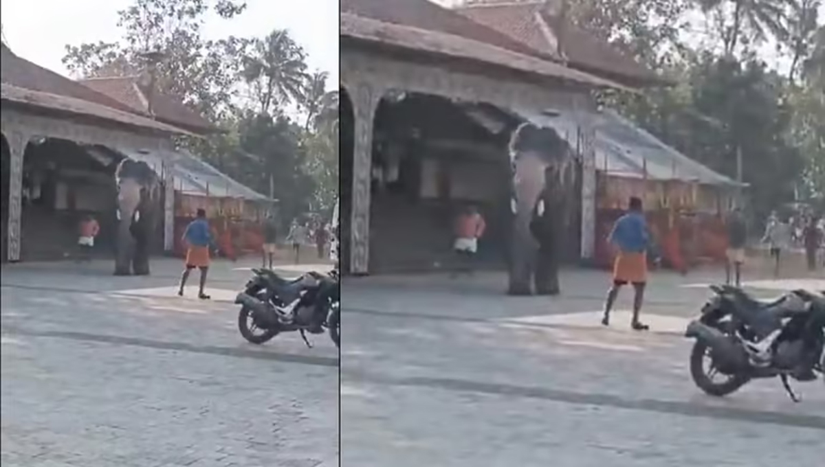 തൃശൂര്‍ മതിക്കുന്ന് ക്ഷേത്രത്തില്‍ ആന ഇടഞ്ഞു