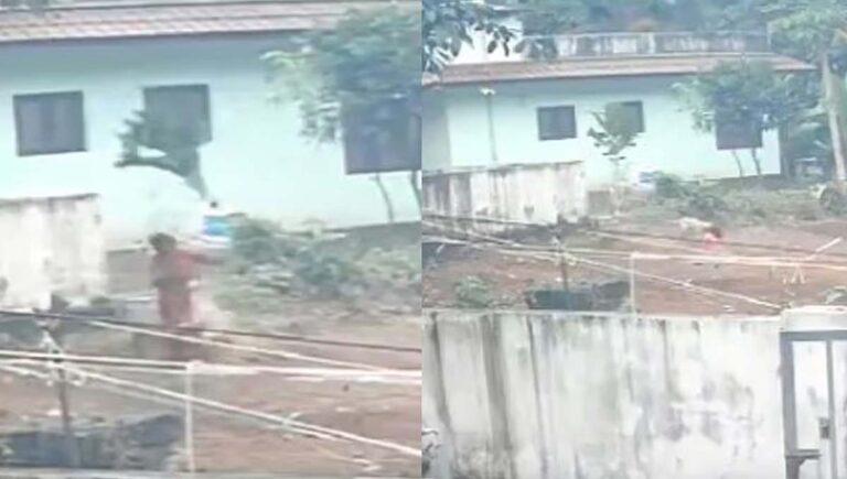 ആലപ്പുഴയിൽ തെരുവ് നായ ആക്രമണം : നാല് പേർക്ക് പരിക്ക്
