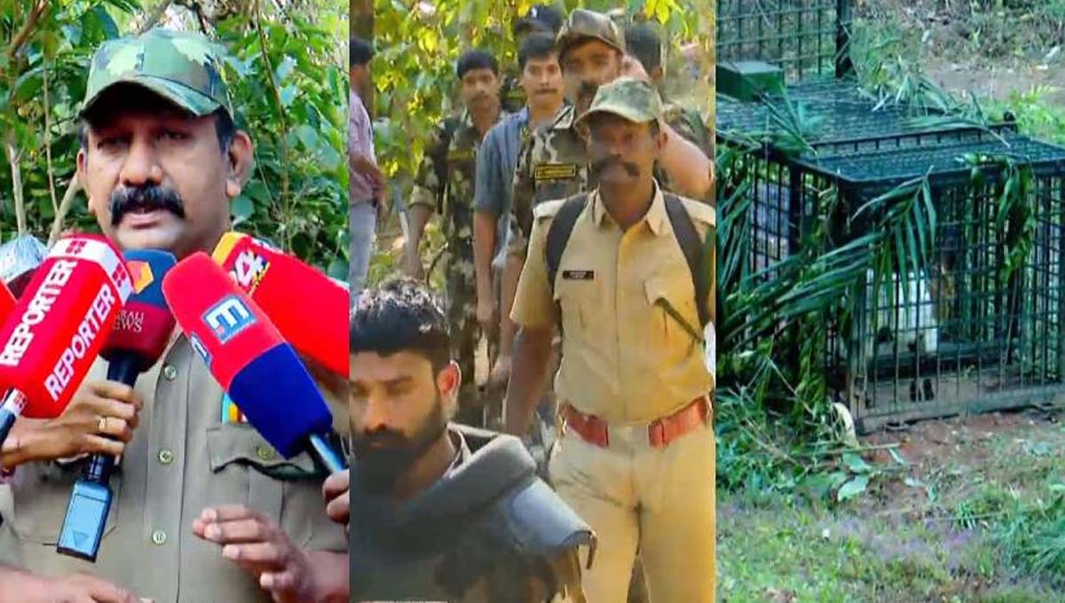‘കാടടച്ചുള്ള തെരച്ചിൽ നടക്കില്ല; കൂട് സ്ഥാപിച്ചതിന് സമീപത്തായി കടുവയുണ്ട്’ : ആർഎഫ്ഒ രഞ്ജിത്ത് കുമാർ
