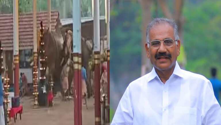 ആനയുടെ ഉടമസ്ഥര്‍ക്കും ക്ഷേത്രം ഭാരവാഹികള്‍ക്കുമെതിരെ കേസ് എടുക്കും : എകെ ശശീന്ദ്രന്‍