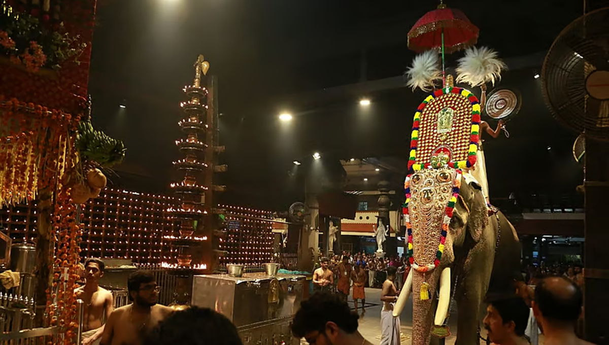 ഉത്സവങ്ങളിൽ ഒരാന മതി; കോഴിക്കോട് ജില്ലയിൽ നിന്നുള്ളവയ്ക്ക് മാത്രം അനുമതി