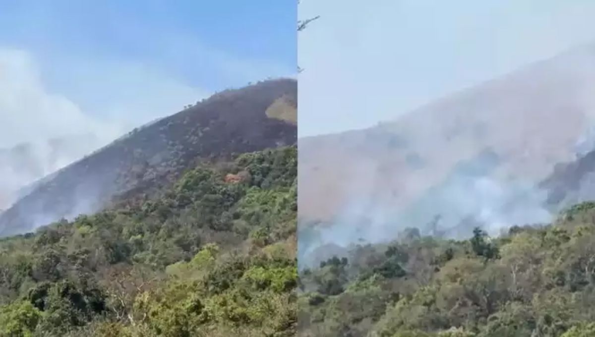 വയനാട് പഞ്ചാരകൊല്ലിക്ക് സമീപം കമ്പമലയിൽ വീണ്ടും കാട്ടുതീ