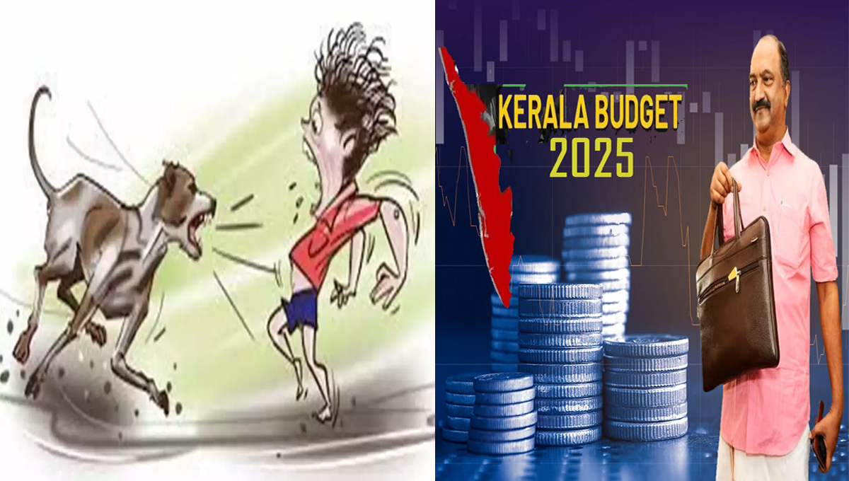 തെ​രു​വു​നാ​യ ആ​ക്ര​മ​ണം പ്ര​തി​രോ​ധി​ക്കാ​ൻ ര​ണ്ട് കോടി