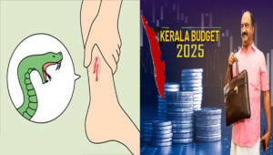 പാ​മ്പു​ക​ടി മ​ര​ണം ഇ​ല്ലാ​താ​ക്കാ​ന്‍ 25 കോ​ടി​യു​ടെ പ​ദ്ധ​തി