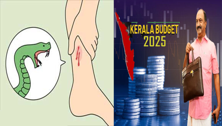 പാ​മ്പു​ക​ടി മ​ര​ണം ഇ​ല്ലാ​താ​ക്കാ​ന്‍ 25 കോ​ടി​യു​ടെ പ​ദ്ധ​തി