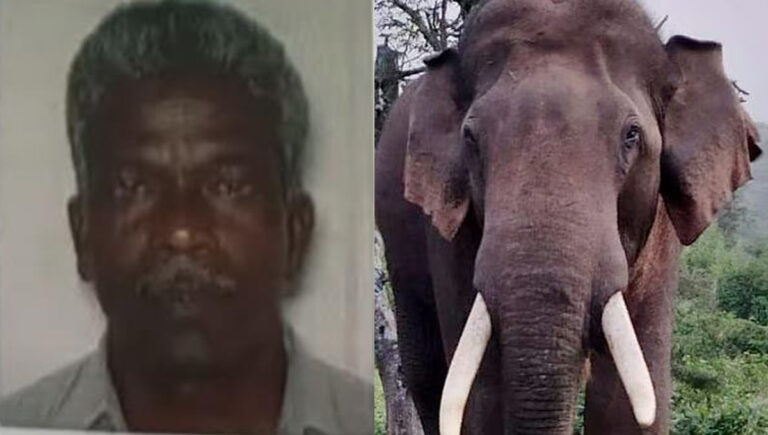 വീണ്ടും ജീവനെടുത്ത് കാട്ടാന; ഇടുക്കി മറയൂരില്‍ കാട്ടാന ആക്രമണത്തില്‍ ഒരാള്‍ മരിച്ചു