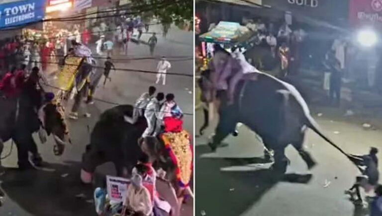 പട്ടാമ്പി നേര്‍ച്ചക്കിടെ ആന വിരണ്ടോടി നിരവധി പേര്‍ക്ക് പരിക്ക്