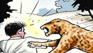 വന്യജീവി ആക്രമണങ്ങള്‍ തടയല്‍; വയനാടിന് 50 ലക്ഷം അനുവദിച്ച് ദുരന്തനിവാരണ വകുപ്പ്