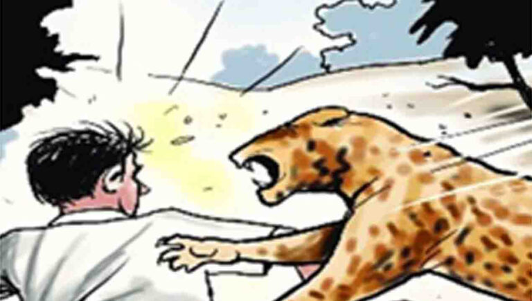 വന്യജീവി ആക്രമണങ്ങള്‍ തടയല്‍; വയനാടിന് 50 ലക്ഷം അനുവദിച്ച് ദുരന്തനിവാരണ വകുപ്പ്