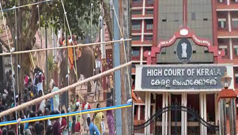 ആന ഇടഞ്ഞുണ്ടാകുന്ന ആക്രമണങ്ങളില്‍ ഉത്തരവാദിത്വം ഉടമസ്ഥനും പാപ്പാന്മാര്‍ക്കും : ഹൈക്കോടതി